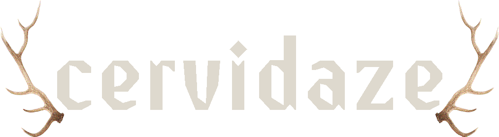 home page